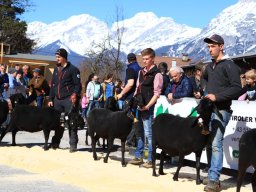 2019_ausstellung polling_275